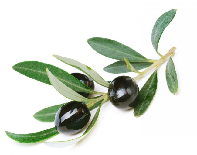 Olives from Armenia
